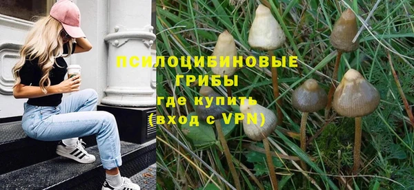 гашик Белокуриха