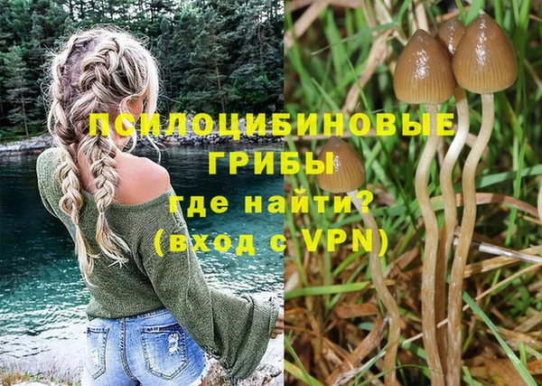 гашик Белокуриха