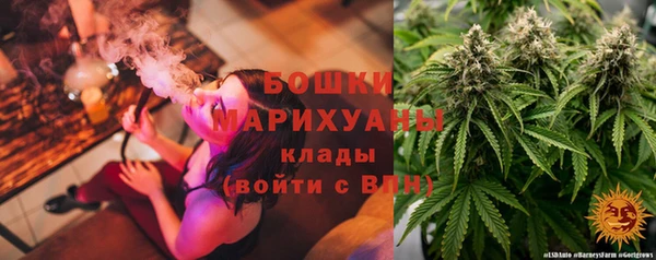 гашик Белокуриха
