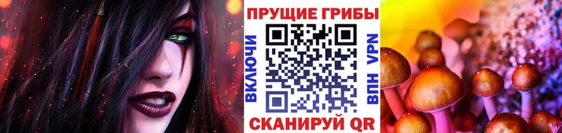 Псилоцибиновые грибы мицелий Гусев