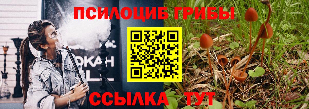Метадон  Гусев  Вход с VPN  Канабис  Мефедрон  Хэш  МЕФ  APVP 